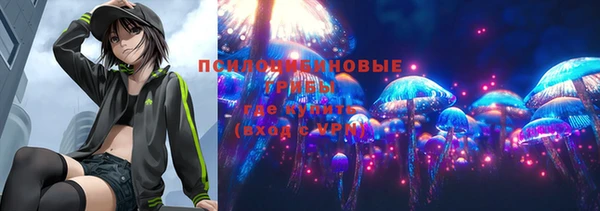 MDMA Premium VHQ Горнозаводск