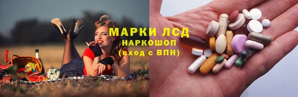 СК Горняк