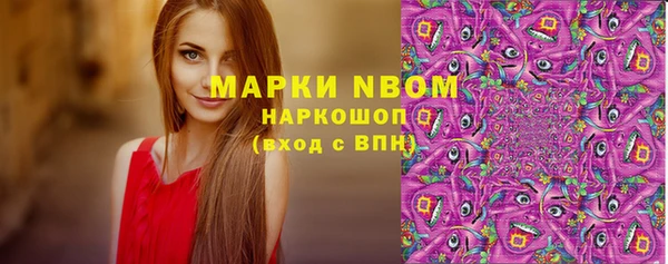 СК Горняк