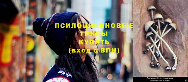 СК Горняк
