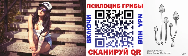 Галлюциногенные грибы Psilocybine cubensis  Завитинск 